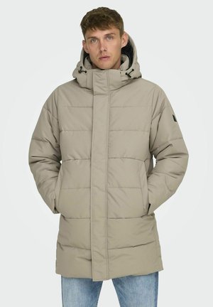 Beige isolierter Parka mit hohem Kragen und Kapuze, mit einem gesteppten Design und zwei frontalen Taschen. Weicher Stoff mit glatter Textur.
