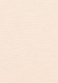 Helles beige Gewebe mit einer feinen, strukturierten Webart. Die Oberfläche erscheint weich und gleichmäßig, geeignet für Polsterungen oder textile Anwendungen.