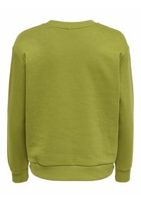 Dlouhá olivově zelená mikina s pružnými manžetami, lemem a límečkem, zobrazená zezadu.