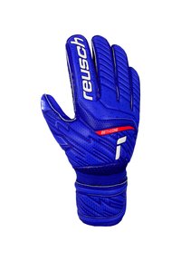Guanto da portiere blu con grip testurizzato, cuciture rinforzate e cinturino aderente al polso. Logo del marchio stampato in modo evidente sul retro.