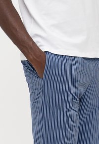 Blå og hvide stribede bukser med letvægtsstof, slim fit, sidelommer og en glat tekstur. Sammen med en hvid T-shirt.