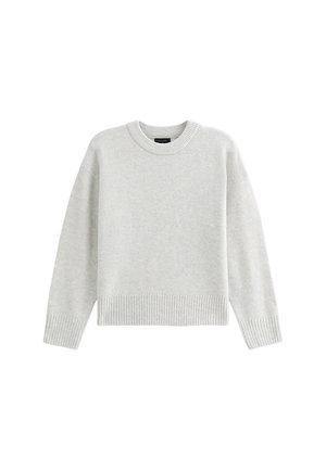 CREW NECK  - Pullover - pale grey