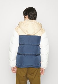 Tommy Jeans ALASKA - Chaqueta de plumas - trench/multi