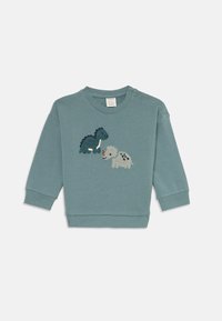 Light blue long-sleeved sweatshirt with round neck, featuring embroidered dinosaurs in dark green and gray on the front. Two shoulder snaps.