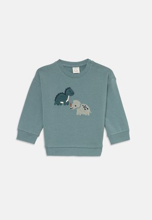 Lichtblauwe sweatshirt met lange mouwen en ronde hals, met geborduurde dinosaurussen in donkergroen en grijs aan de voorkant. Twee drukknopen op de schouders.