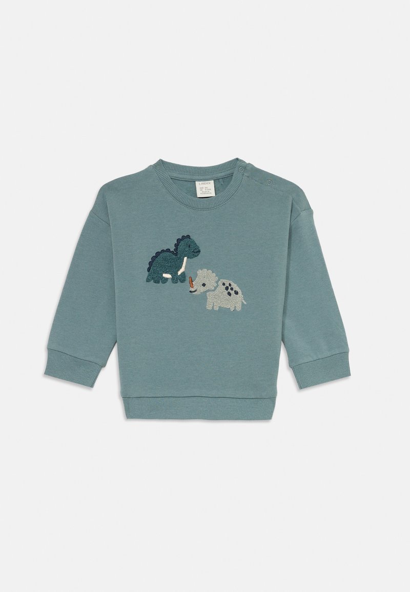 Felpa a maniche lunghe di colore azzurro chiaro con scollo rotondo, caratterizzata da dinosauri ricamati in verde scuro e grigio sul davanti. Due bottoni a pressione sulle spalle.