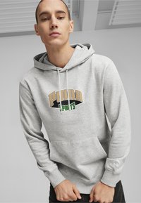 Puma TEAM - Felpa con cappuccio - light gray heather