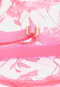 Pink lace lingerie featuring floral patterns, a smooth silk band, and a gold metallic clasp with the brand name inscribed.