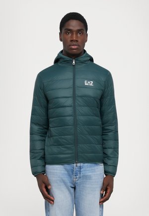 TRAIN CORE LIGHT JACKET - Doudoune - ponderosa pine