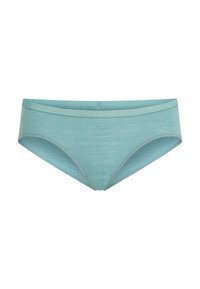 Mutandine bikini da donna di colore azzurro chiaro, con fascia stretta e cuciture pulite, esposte su sfondo bianco.