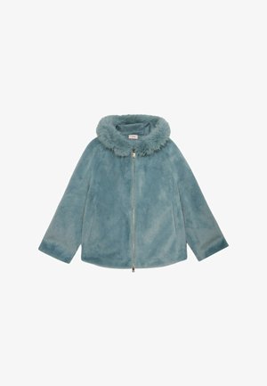 Giacca in finta pelliccia azzurro chiaro con colletto a imbuto, chiusura con zip e maniche larghe. Presenta una texture morbida e lunghezza intera.
