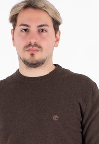 Pullover di lana marrone con scollo rotondo e un piccolo logo ricamato sul petto. Texture morbida con una vestibilità classica.