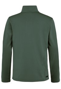 Pullover verde a maniche lunghe con colletto alto, realizzato in tessuto morbido. Presenta un taglio dritto e un piccolo logo sul bordo.