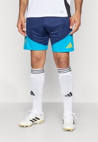Bermudas desportivas azuis e marinho com o logótipo da Adidas, combinadas com meias brancas com riscas pretas e chuteiras brancas de futebol com detalhes em dourado.
