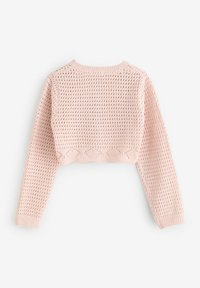 Maglione corto lavorato a maglia rosa con motivo a rete aperta, maniche lunghe, polsini a coste e dettaglio a scallop sull'orlo. Vista posteriore mostrata.