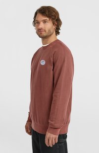 Sweatshirt in roestkleur gemaakt van een katoenmengsel. Heeft een ronde hals, geribbelde manchetten en een klein logo op de borst.