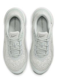 Nike Performance VERSAIR Trainingsschoen lt silver mtlc silver