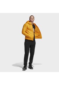 adidas Performance VARILITE DOWN - Chaqueta de invierno - orange