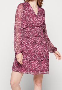 Šaty s květinovým potiskem v odstínech fialové. Mají dlouhé, průhledné rukávy, V-výstřih a stupňovité volány v pase a na lemu. Lehká tkanina.