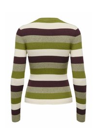 Pull côtelé à manches longues avec des rayures horizontales en vert olive, beige, gris clair et violet foncé, vu de dos.