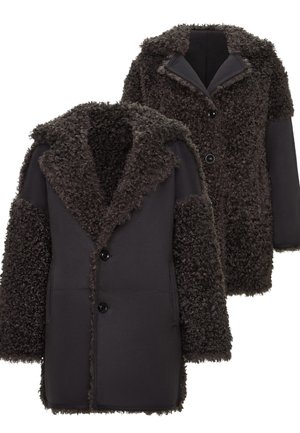 Cesare Gaspari REVERSIBLE - Wintermantel - grey