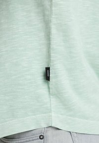 CHASIN' BRODY SLUB - Jednoduché tričko - light green