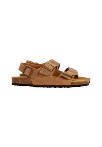 PLAKTON BAKU - Sandals - mules