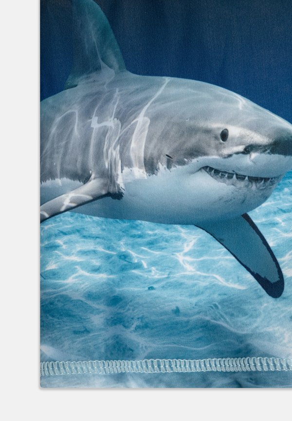 NORTON PLACED TRUNKS - Swimming trunks3