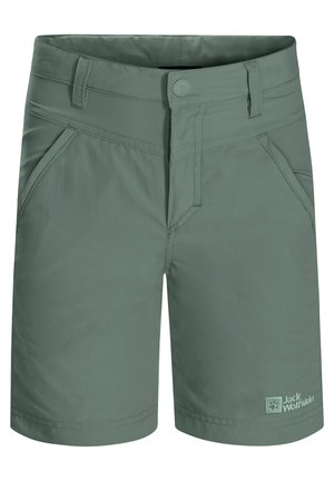SUN - Pantalones montañeros cortos - hedge green