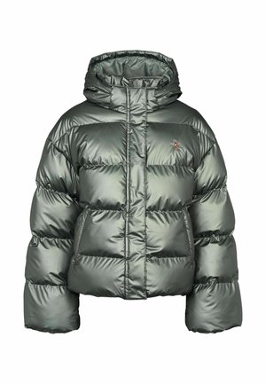 U.S. Polo Assn., UWLEAN JACKET - Winterjacke - green