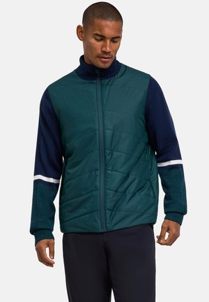 Homme regardant vers le bas, portant une veste matelassée vert foncé sur un pull bleu marine avec des manches rayées turquoise et blanches sur fond blanc.