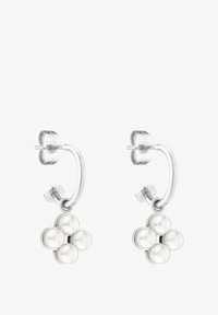 Ej vald, zilveren kleur