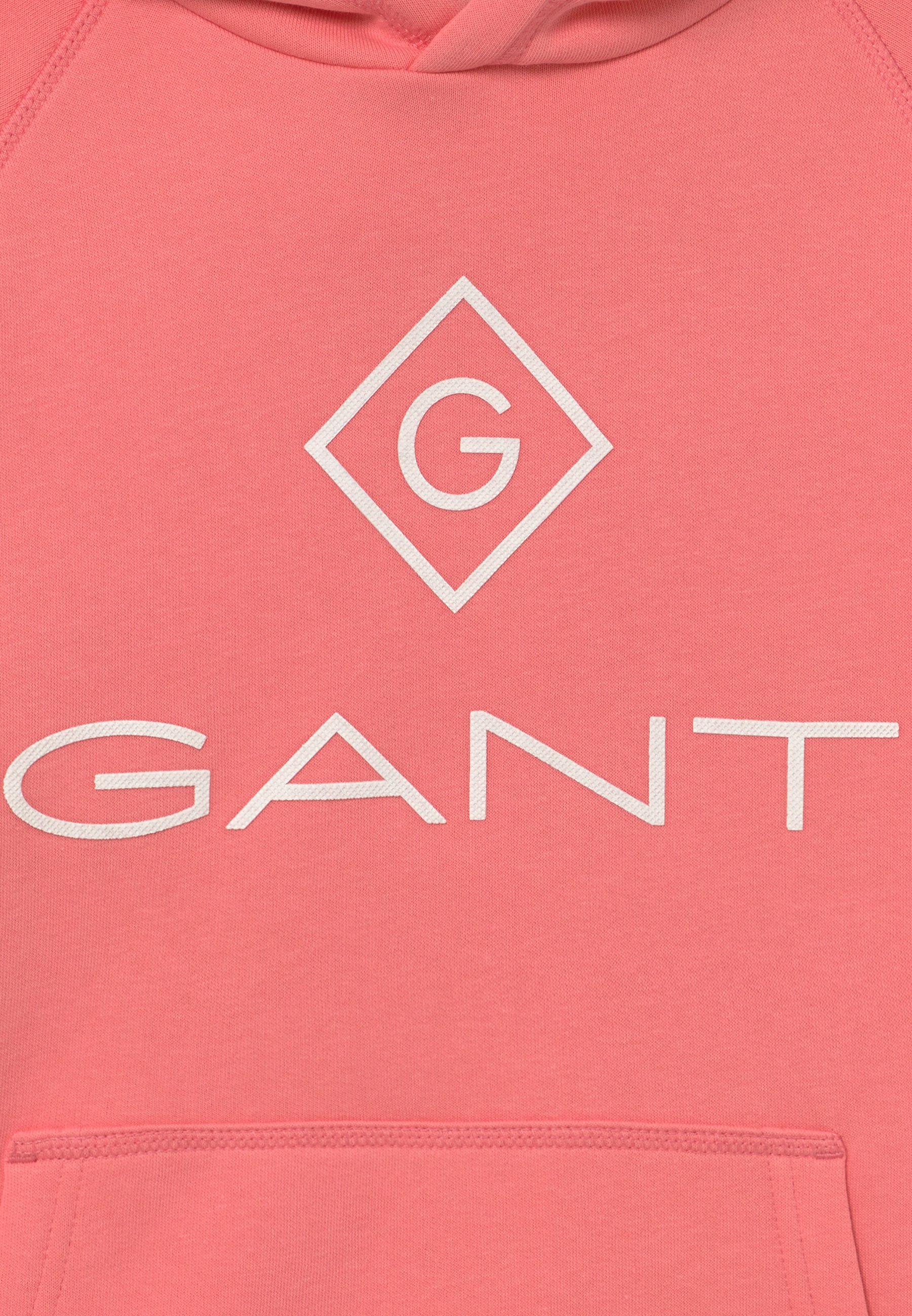 GANT LOCK UP STRIPE HOODIE Hoodie strawberry pink GANT Stripete gensere til dame og herre | Zalando.no