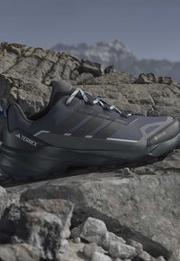 Σκούρο γκρι πεζοπορικό παπούτσι Adidas Terrex με υλικό Gore-Tex που ακουμπά σε βραχώδες έδαφος με θολά βουνά στο φόντο.
