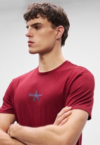 Punane puuvillane T-särk lühikeste varrukatega, millel on rinnal trükitud logo. Kaelus on ümmargune ja lõige on juhuslik.