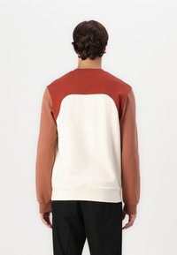 Crewneck sweatshirt med et brunt, kremfarget og rustfarget fargeblokkdesign. Glatt tekstur med ribbede mansjetter og hem, vist fra baksiden.