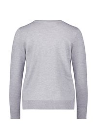 Hellgrauer Pullover mit langen Ärmeln, rundem Halsausschnitt und gerippten Bündchen und Saum. Glatte Textur, einfaches Design, gleichmäßige Farbverteilung.