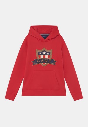 BANNER SHIELD HOODIE - Felpa con cappuccio - bright red