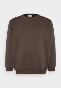 JJEBRADLEY CREW  - Sweatshirt - mulch