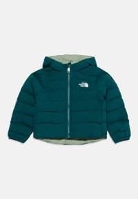 Δεν επιλέχθηκε, pacific teal