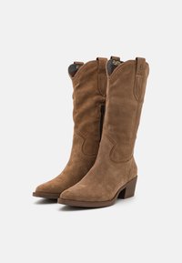 Cizme din suede maro în stil western, cu vârf ascuțit, toc mic pătrat, cusături decorative și detaliu cu fermoar pe lateral.