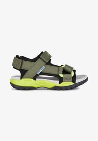 Seleccionado, military lime