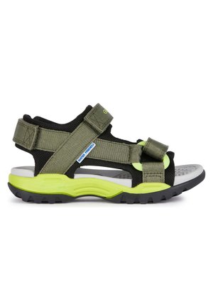 Geox J BOREALIS  - Sandalias de senderismo - military lime