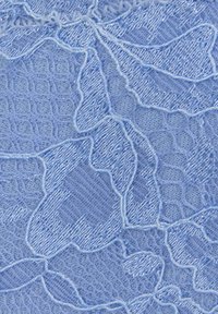 Light blue lace fabric featuring intricate leaf patterns, with a textured mesh background and delicate detailing throughout.