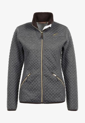 Peak Mountain ACAMFULL - Veste d'hiver - gris