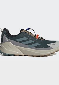 Side view of a dark green and beige Adidas Terrex hiking shoe with Gore-Tex label and fast lace system.