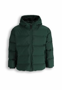 Zielona kurtka puchowa z kapturem, z zamkiem z przodu, pikowanym wzorem i ściągaczami przy mankietach dla zapewnienia ciepła i izolacji.