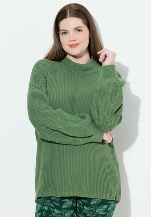 Pull en tricot vert avec des motifs en relief sur les manches et un col haut. Associé à un pantalon vert à motifs feuilles sur un fond neutre.