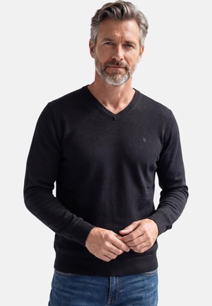 Man with gray hair and beard wearing black V-neck sweater and blue jeans, standing against plain light background.