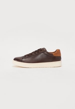 Salamander, E31ASD021000 - Sneaker low - dark brown